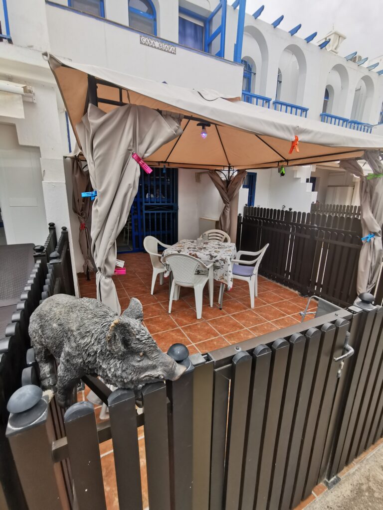 img 20220411 184854